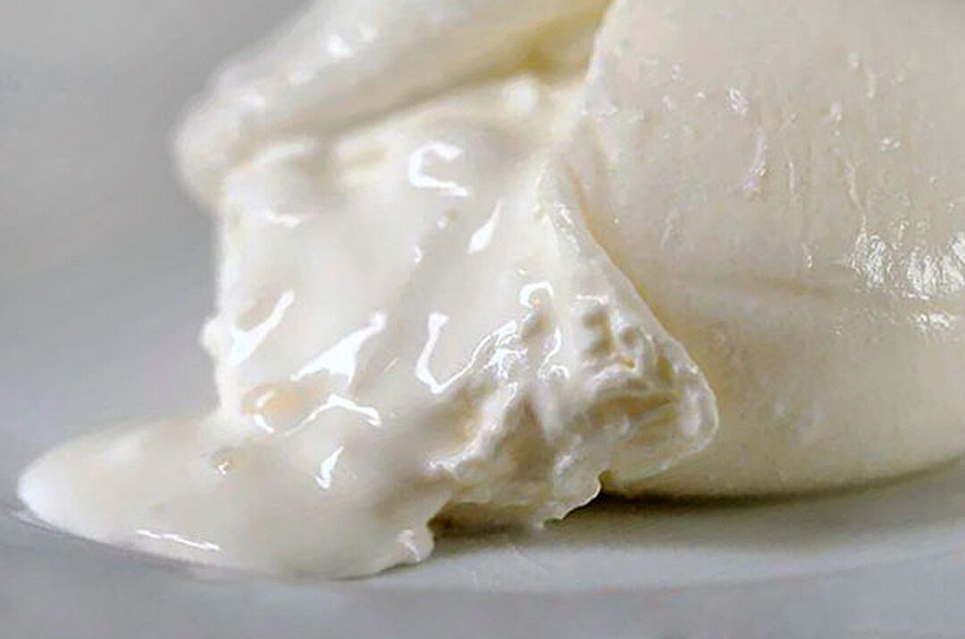 burrata.jpg