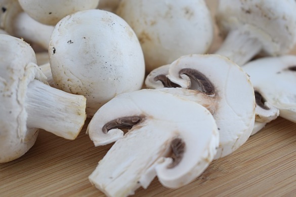 champignon.jpg