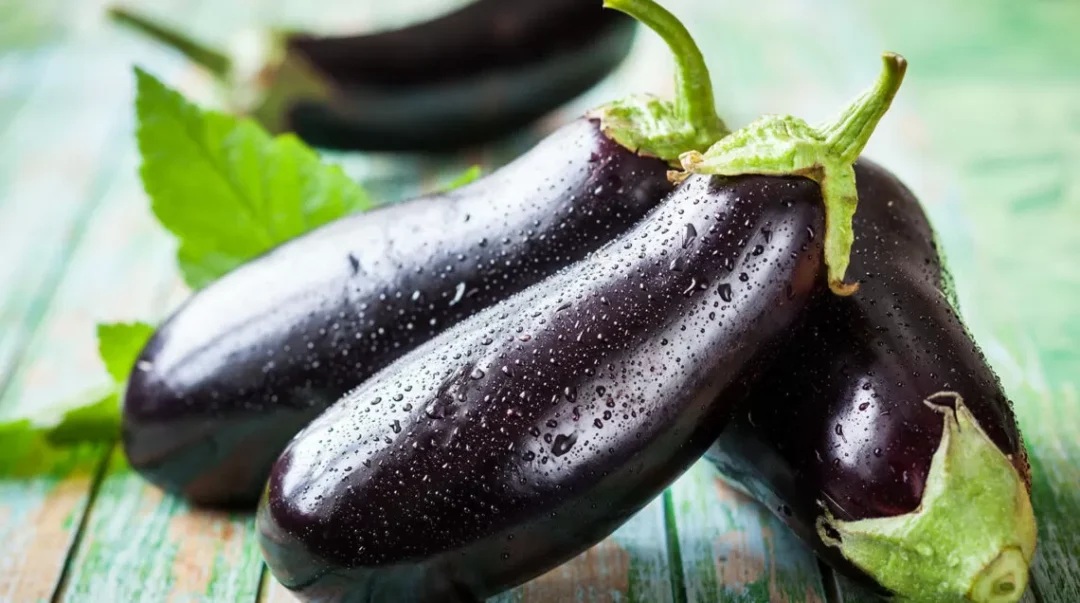 melanzane