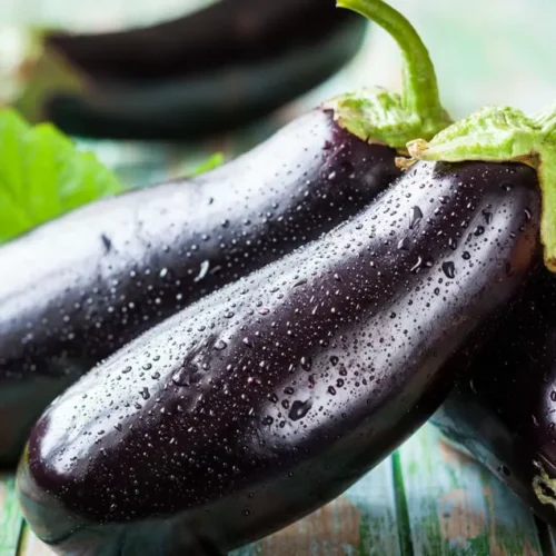 melanzane