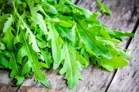 rucola